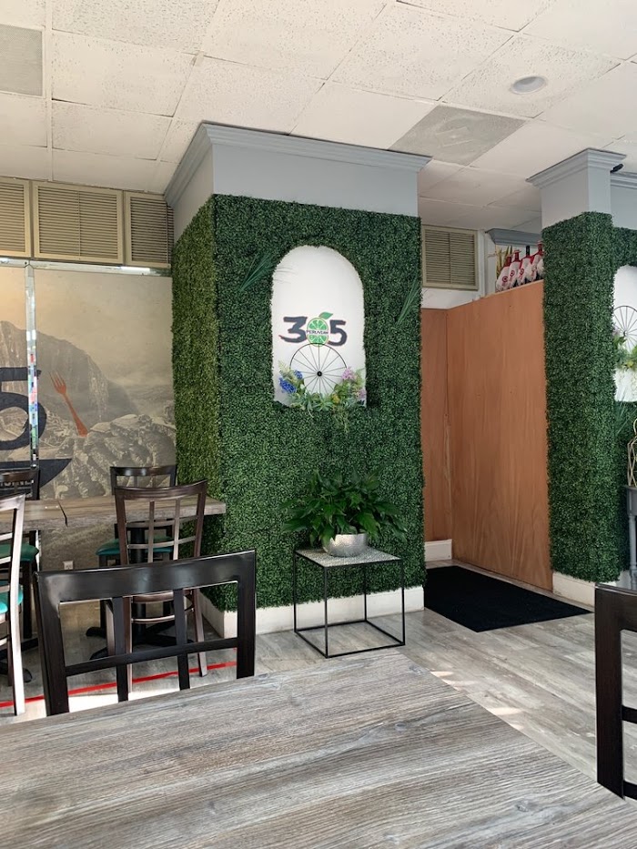 305 Peruvian Modern Cuisine