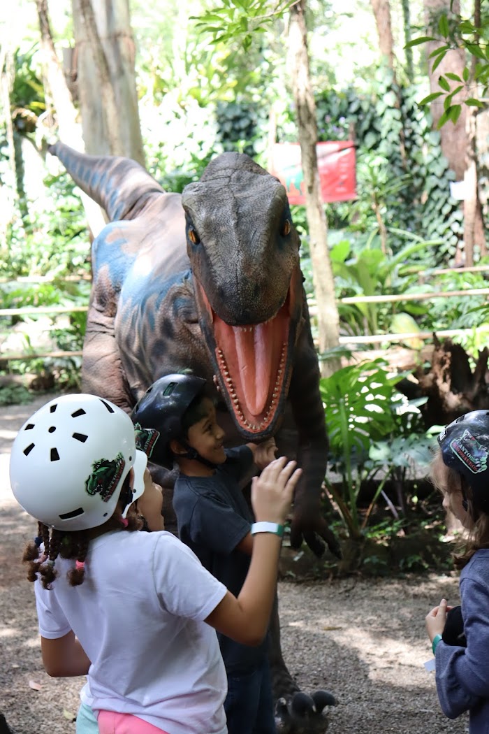 Canto Dos Dinossauros