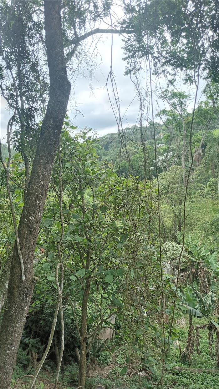 Centro del Sabor Peruano