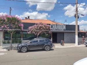 Charbon Parrilla