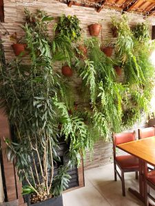 Churrascaria PauliGrill