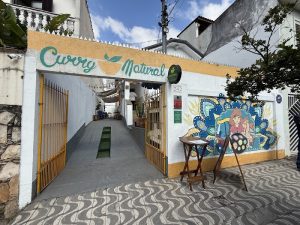 Curry Natural | Indiano Vegano