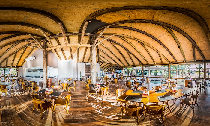 Golden Bar