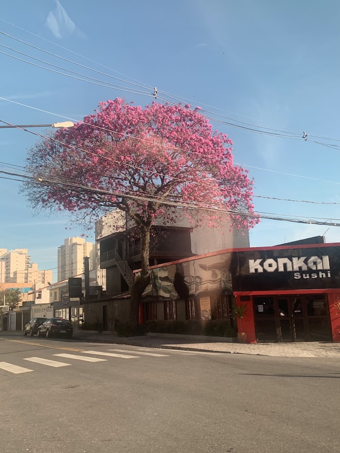 Konkai Sushi Rudge Ramos