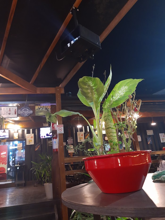 Nosso Quintal Haydee Bar