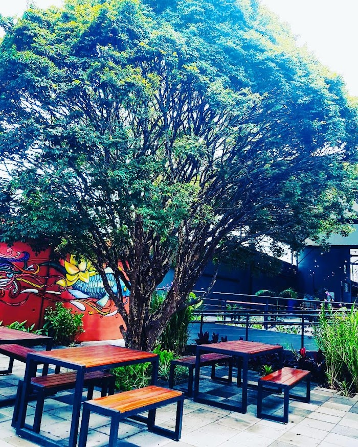 Panquê