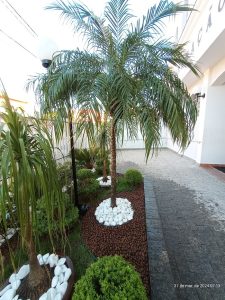 Pizzaria Saborella