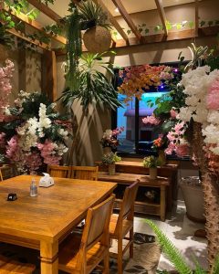 Restaurante Churrascaria e Pizzaria Dona Dona – Sumaré – SP