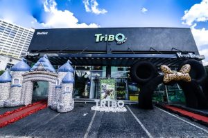 Tribo da Folia
