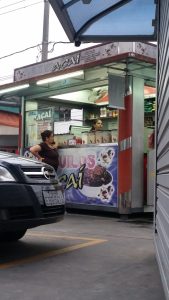Esquilos Açai