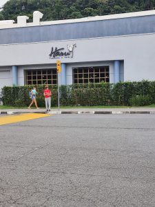 Haru Temakeria e Sushi | Restaurante Japones – Litoral Plaza Shopping