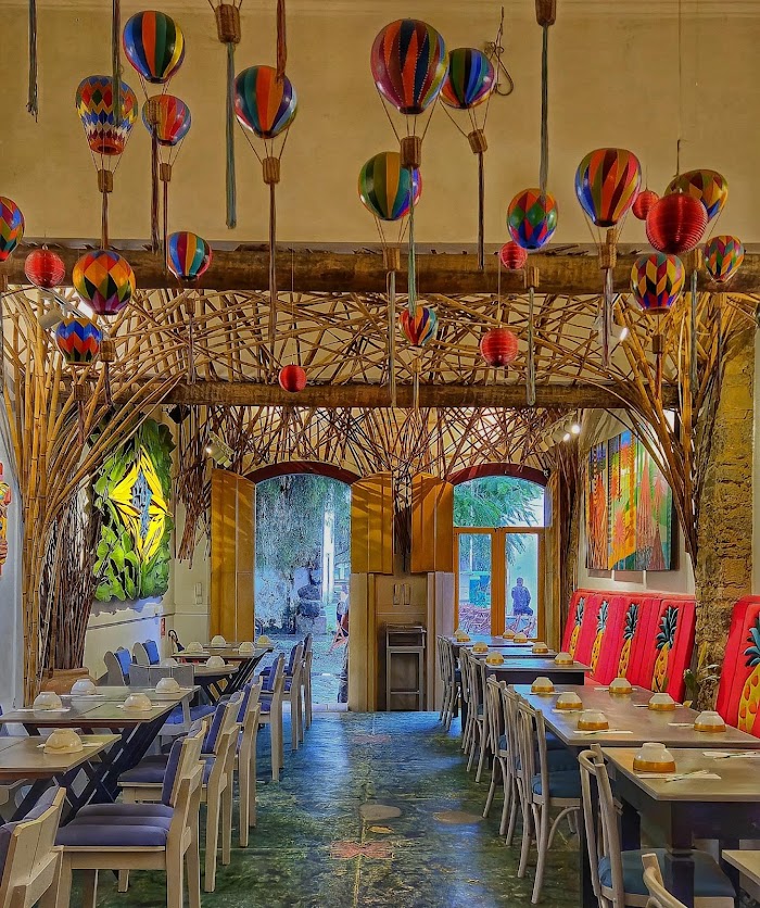 Thai Paraty Matriz