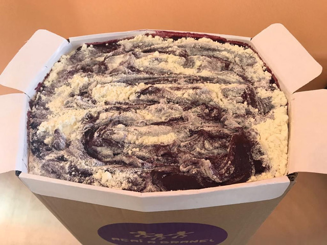 fabrica de sorvetes e açaí pinguim