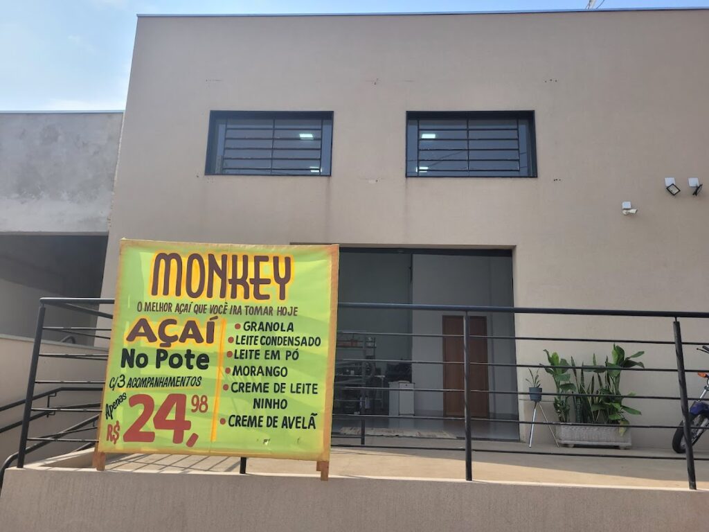 Monkey Açaí