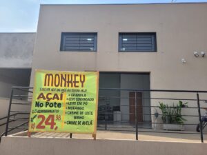 Monkey Açaí