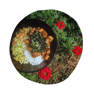 Robos Veganos