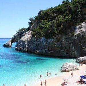 Tapioca e Batata Rostie